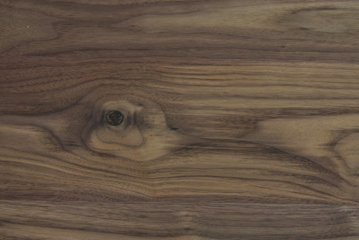 ウォールナット: アメリカ東部や中部原産のくるみ科の広葉樹。心材は薄褐色から濃褐色、辺材は黄白色の落ち着いた色合いを持ち、美しい木目が特徴の高級家具用木材。強度と粘りがあり乾燥後の狂いも少なく、理想的な家具用木材で、欧米や日本で人気を誇っています。